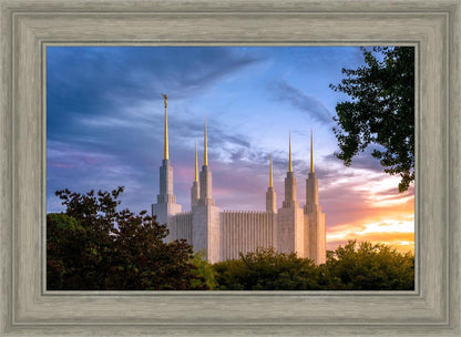 Washington DC Last Sunset