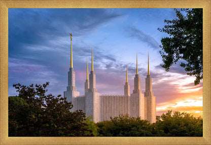 Washington DC Last Sunset