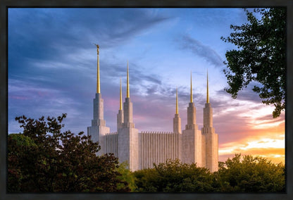 Washington DC Last Sunset