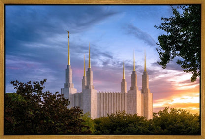 Washington DC Last Sunset