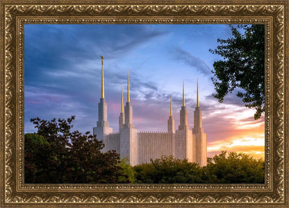 Washington DC Last Sunset