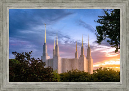 Washington DC Last Sunset