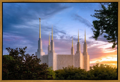 Washington DC Last Sunset