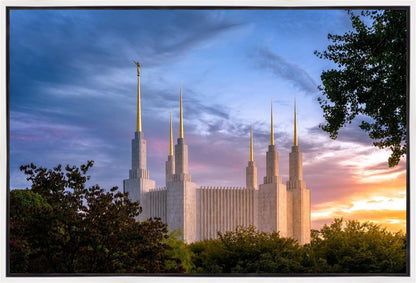 Washington DC Last Sunset