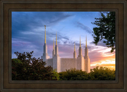 Washington DC Last Sunset