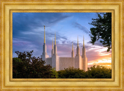 Washington DC Last Sunset