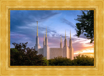 Washington DC Last Sunset