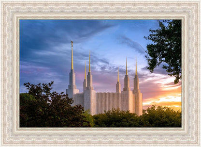 Washington DC Last Sunset