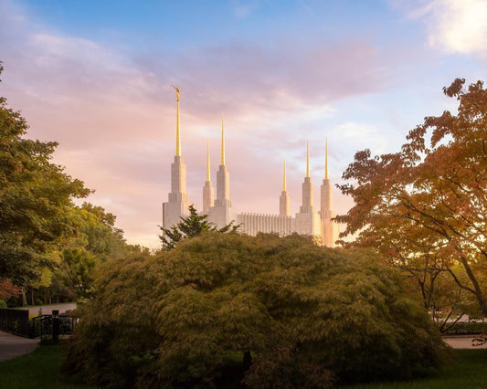 Washington DC Sunset Panorama Gallery Wrap