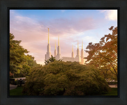 Washington DC Sunset Panorama