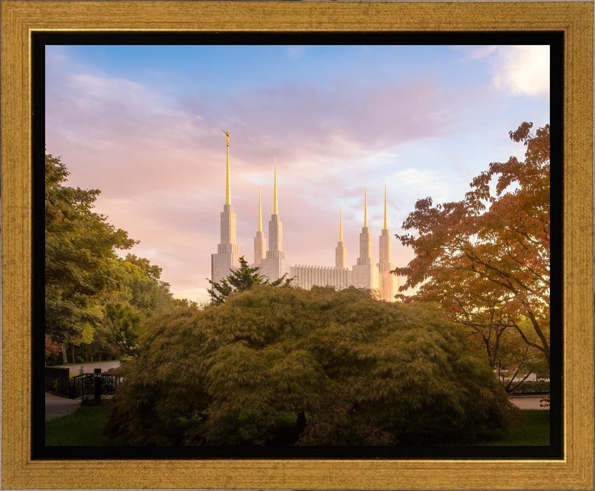 Washington DC Sunset Panorama Gallery Wrap