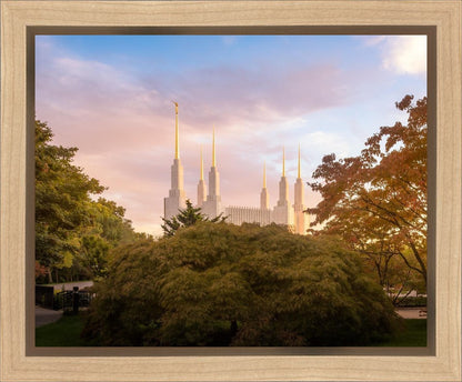 Washington DC Sunset Panorama