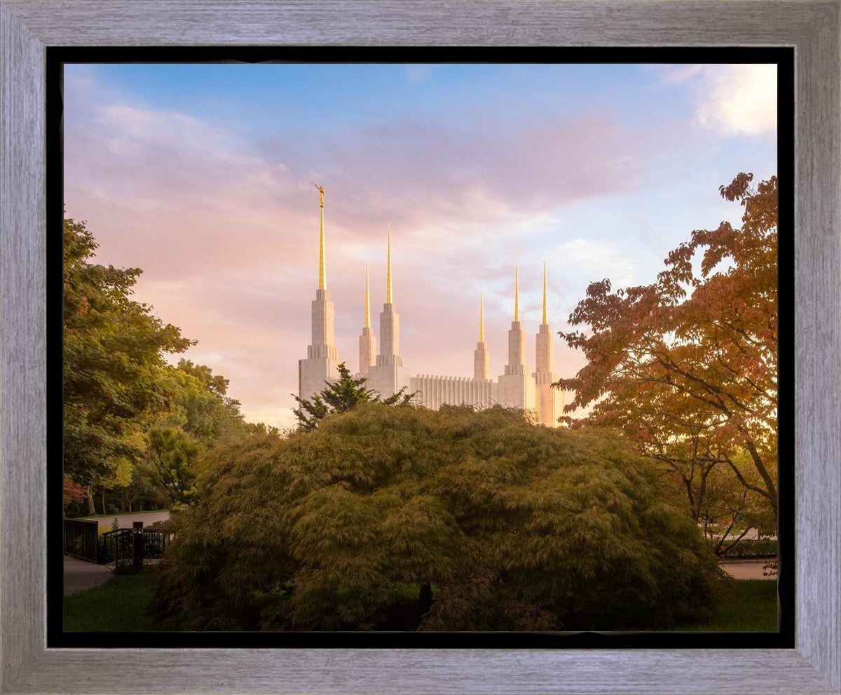 Washington DC Sunset Panorama Gallery Wrap