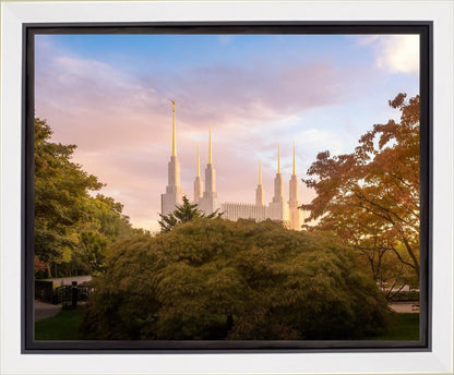 Washington DC Sunset Panorama