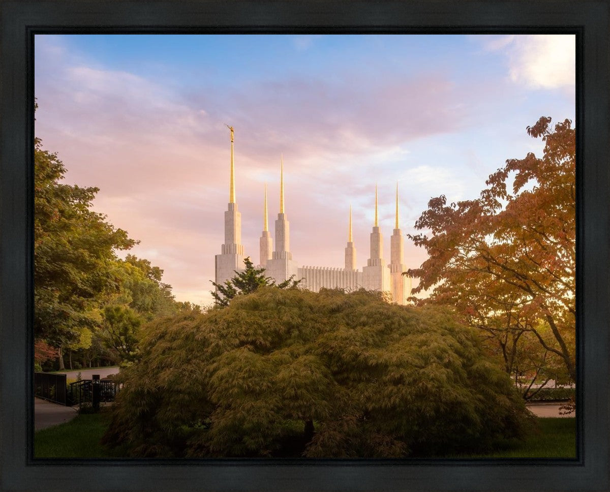 Washington DC Sunset Panorama Gallery Wrap
