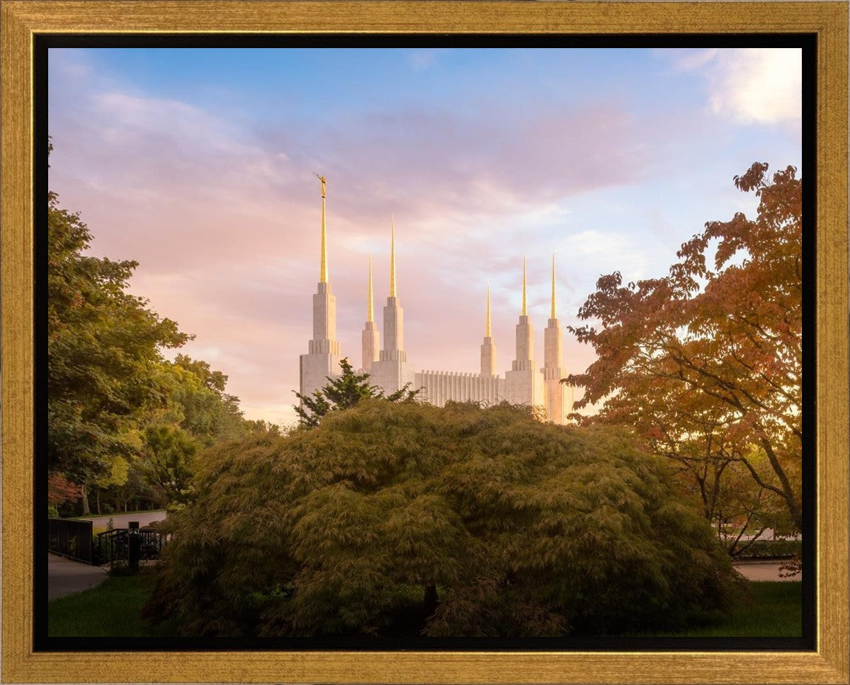 Washington DC Sunset Panorama Gallery Wrap