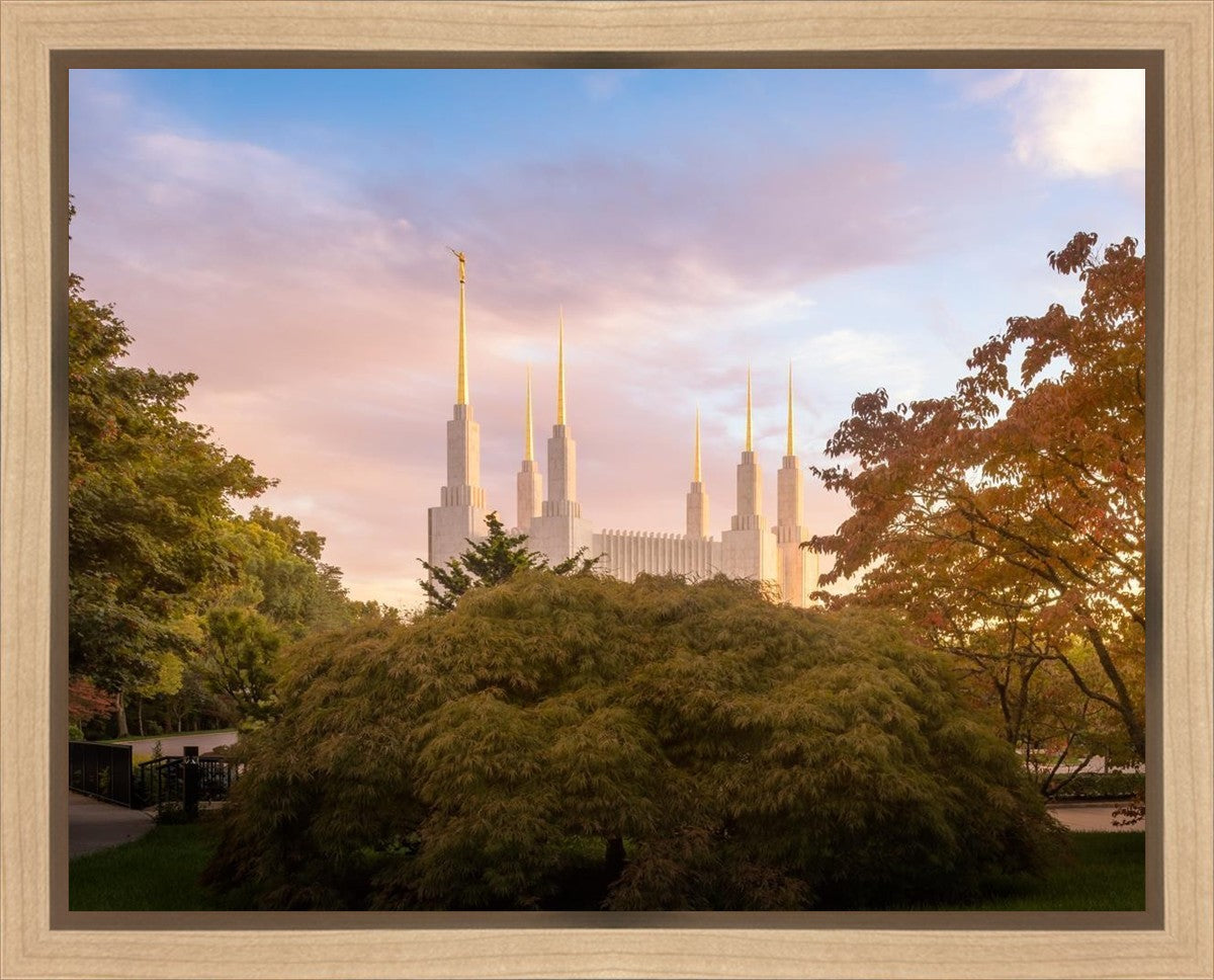 Washington DC Sunset Panorama Gallery Wrap