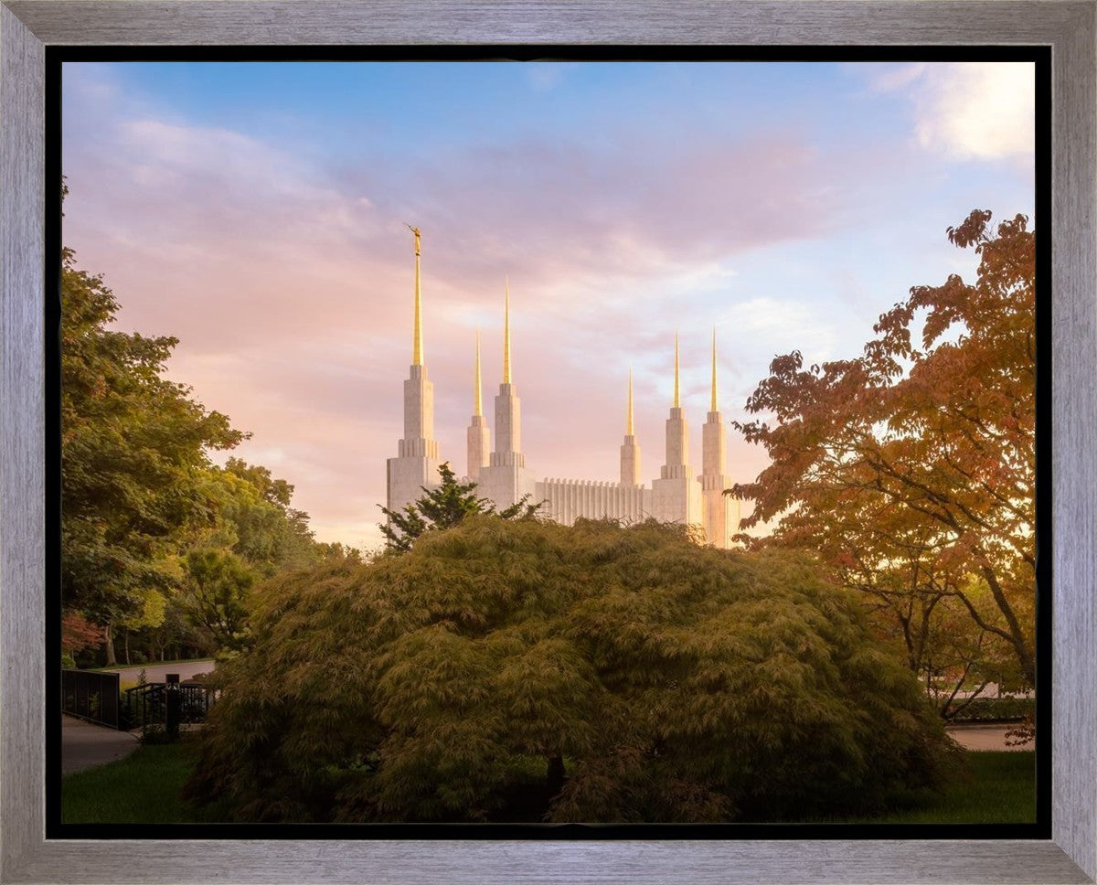 Washington DC Sunset Panorama Gallery Wrap