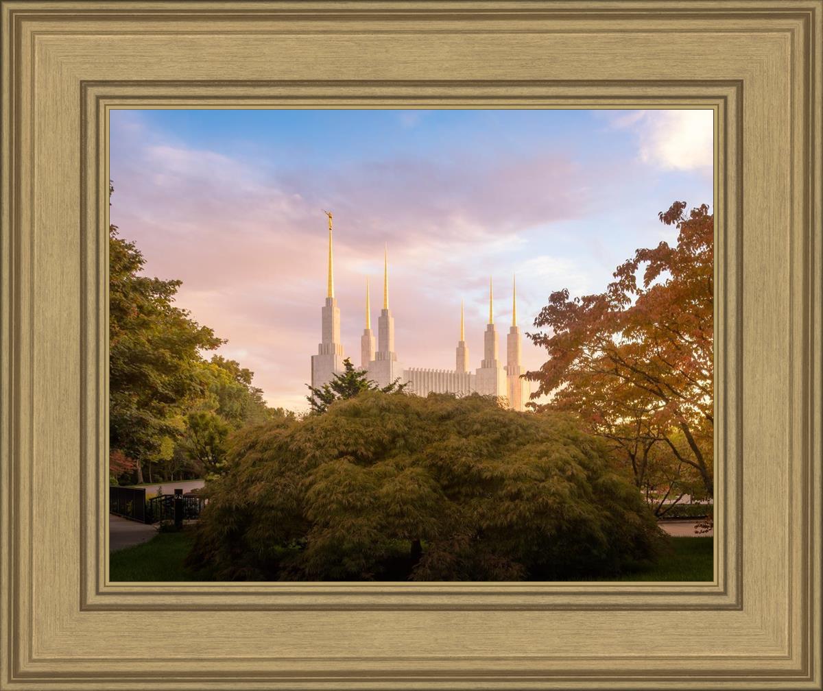 Washington DC Sunset Panorama