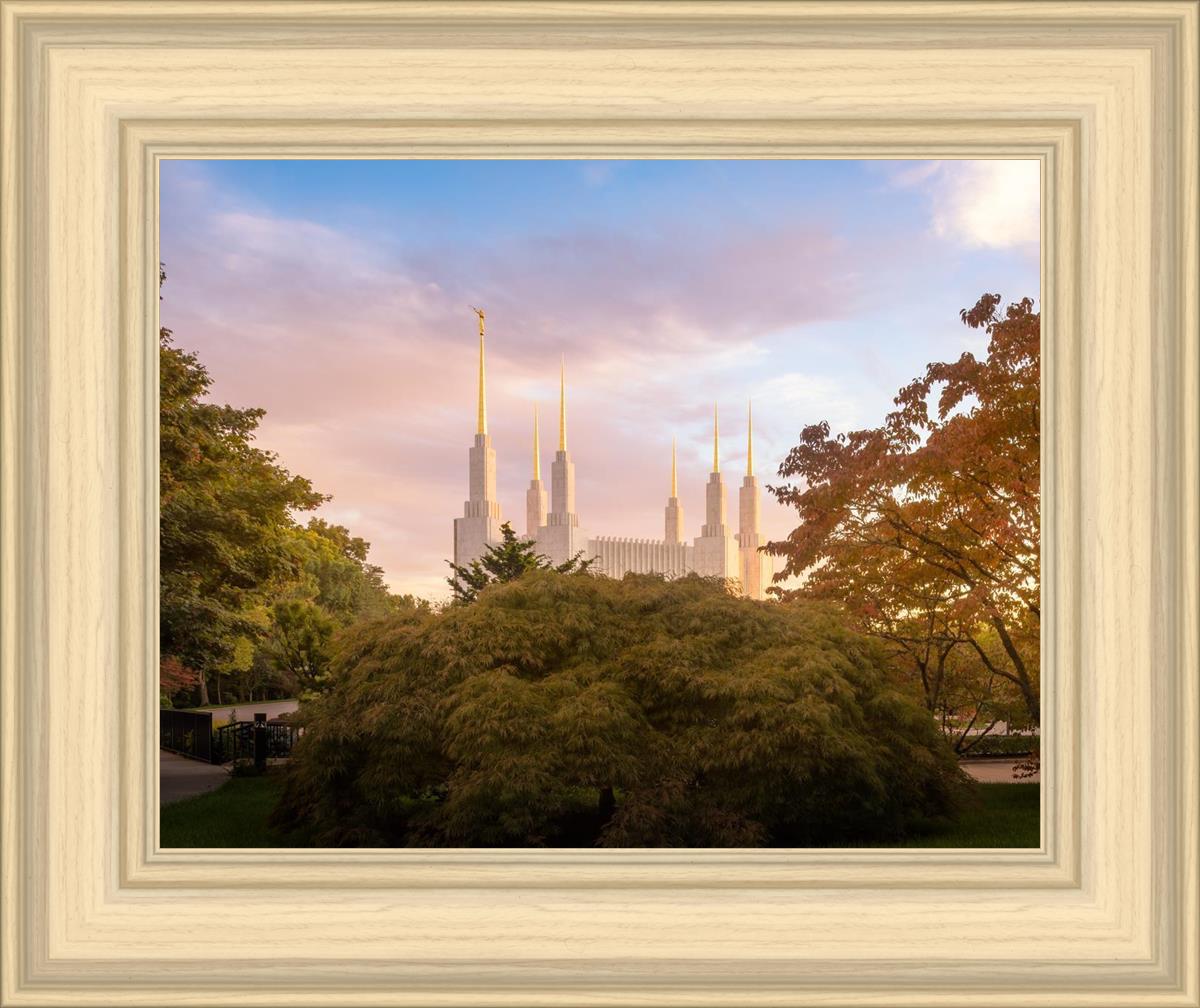 Washington DC Sunset Panorama