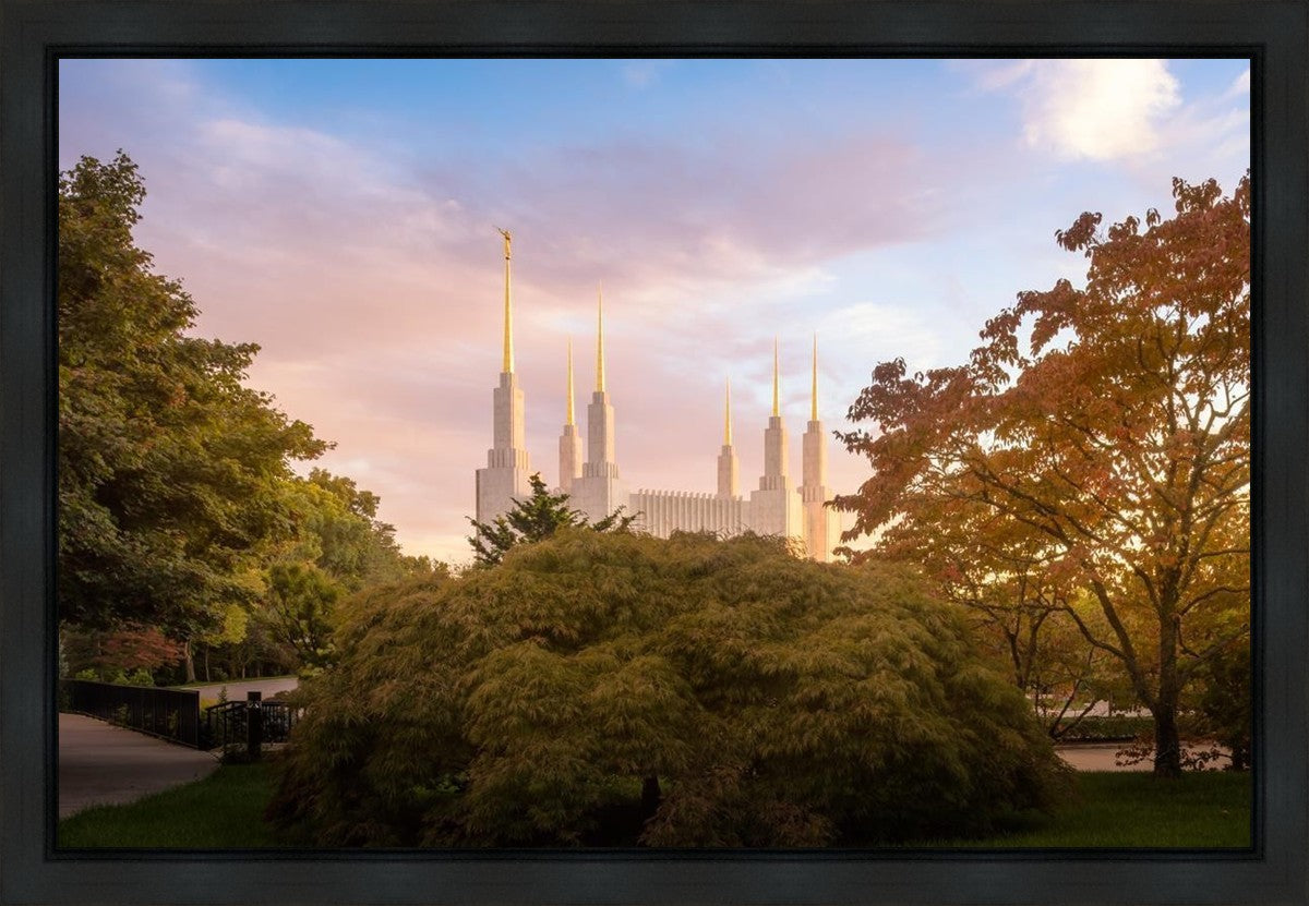 Washington DC Sunset Panorama Gallery Wrap