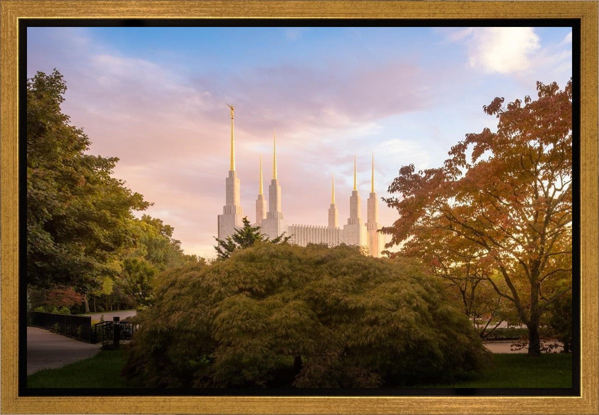 Washington DC Sunset Panorama Gallery Wrap