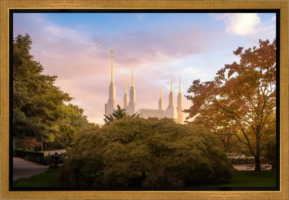 Washington DC Sunset Panorama