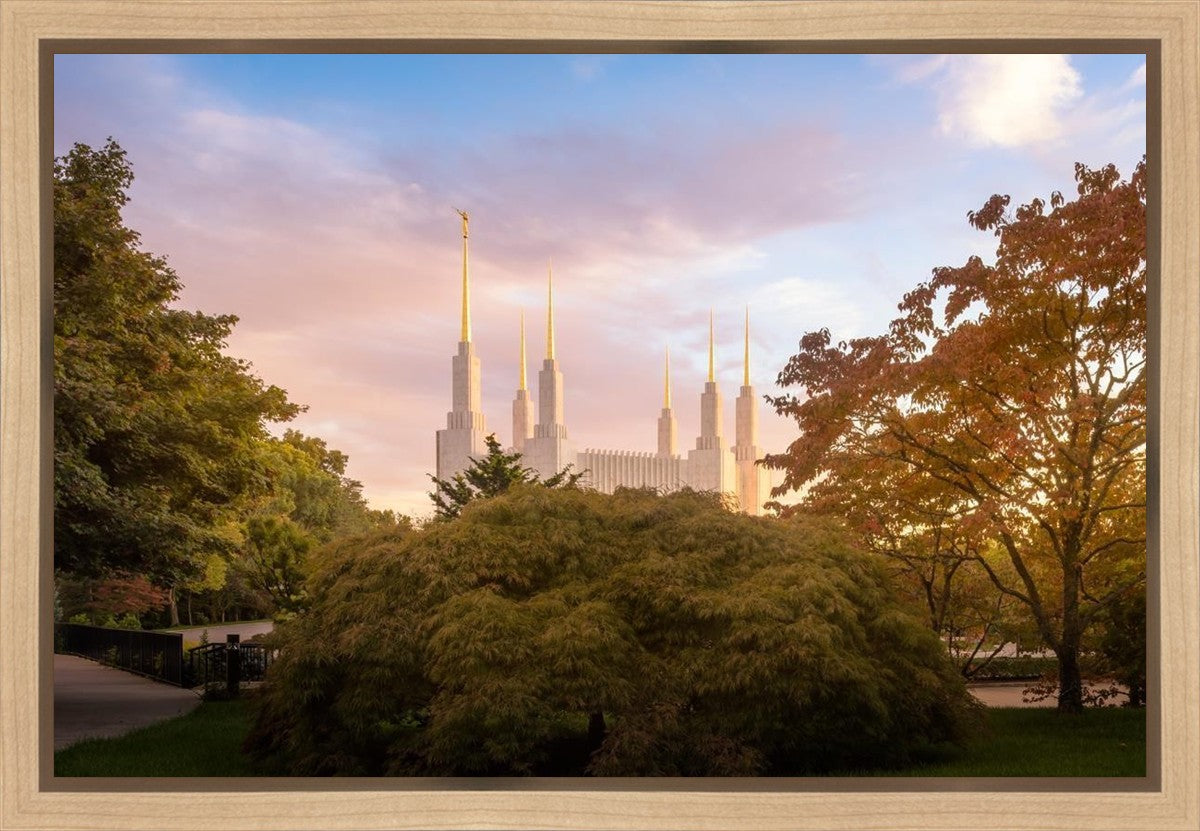 Washington DC Sunset Panorama Gallery Wrap