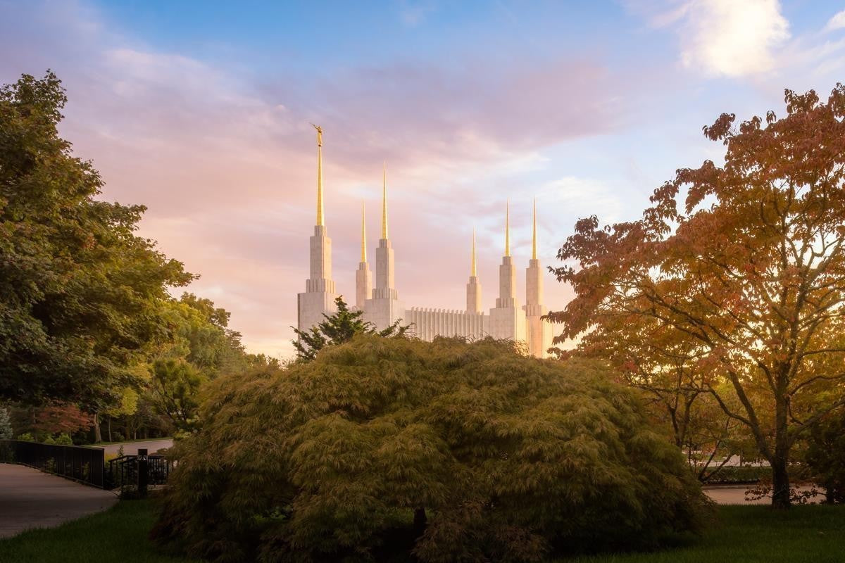 Washington DC Sunset Panorama Gallery Wrap