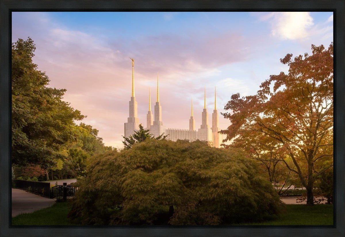 Washington DC Sunset Panorama