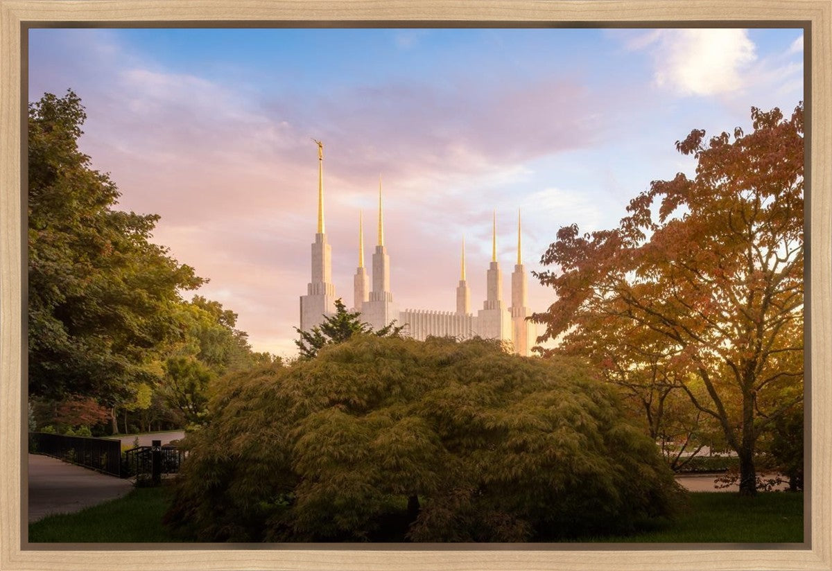 Washington DC Sunset Panorama Gallery Wrap