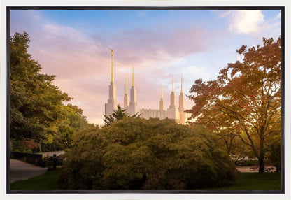 Washington DC Sunset Panorama