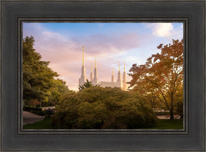 Washington DC Sunset Panorama