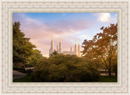 Washington DC Sunset Panorama