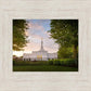 Nashville Trees
