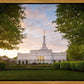 Nashville Trees