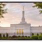 Nashville Trees
