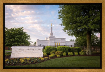 Nashville Late Afternoon