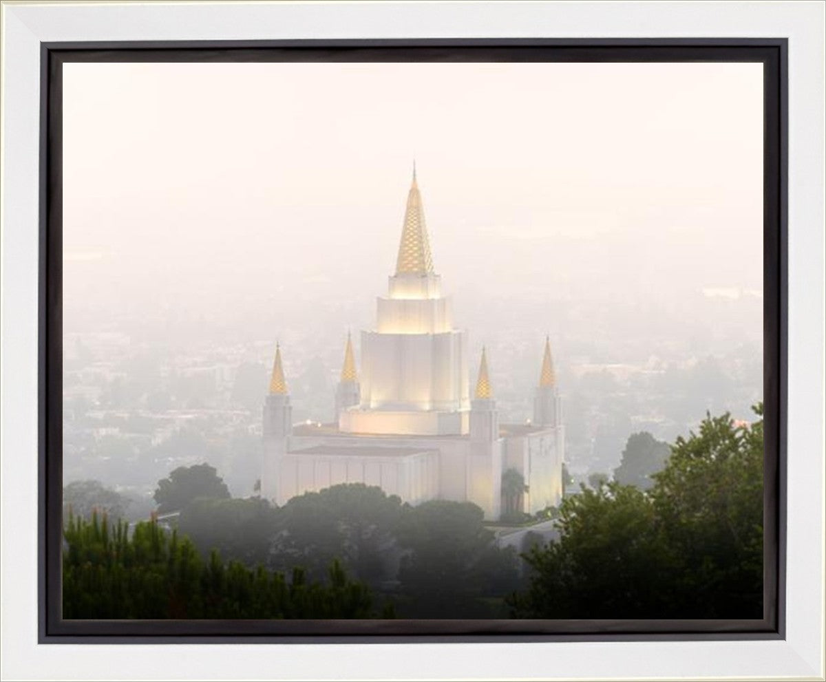 Foggy Oakland