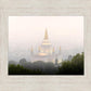 Foggy Oakland