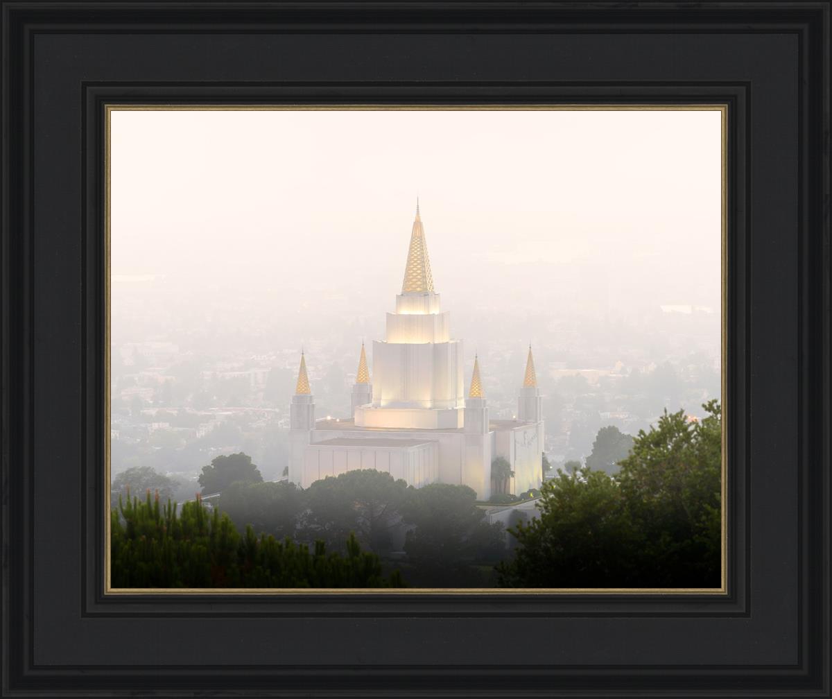 Foggy Oakland