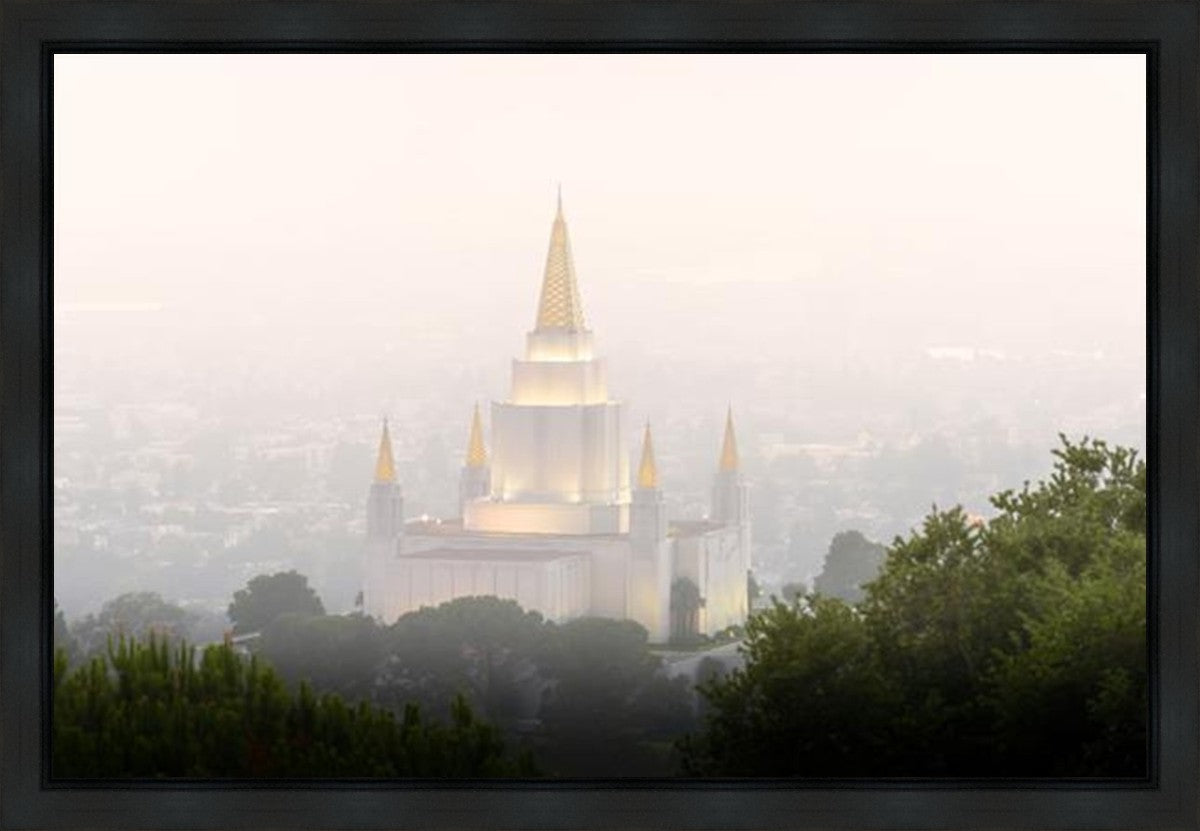 Foggy Oakland