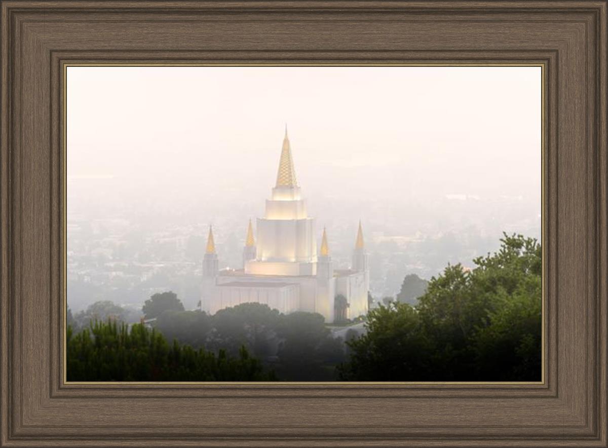 Foggy Oakland