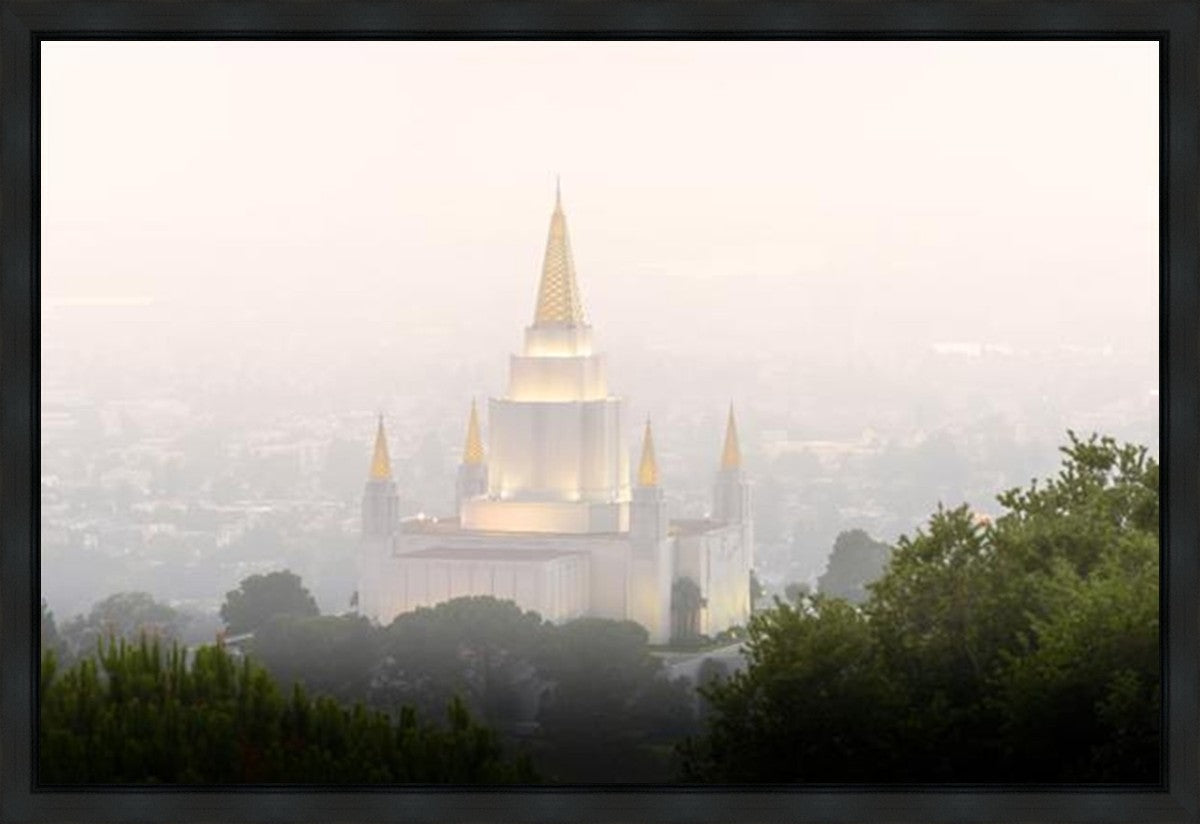 Foggy Oakland