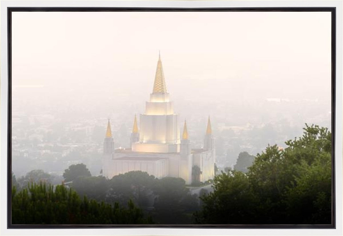 Foggy Oakland
