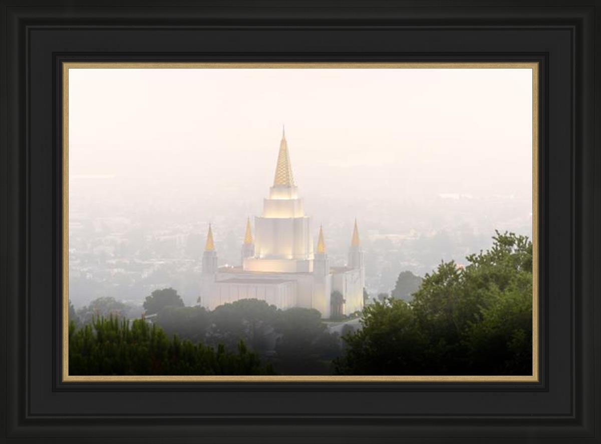 Foggy Oakland