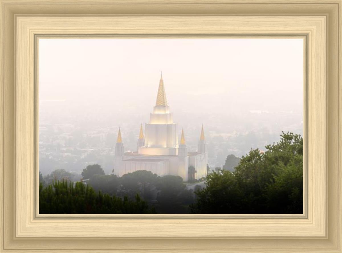 Foggy Oakland