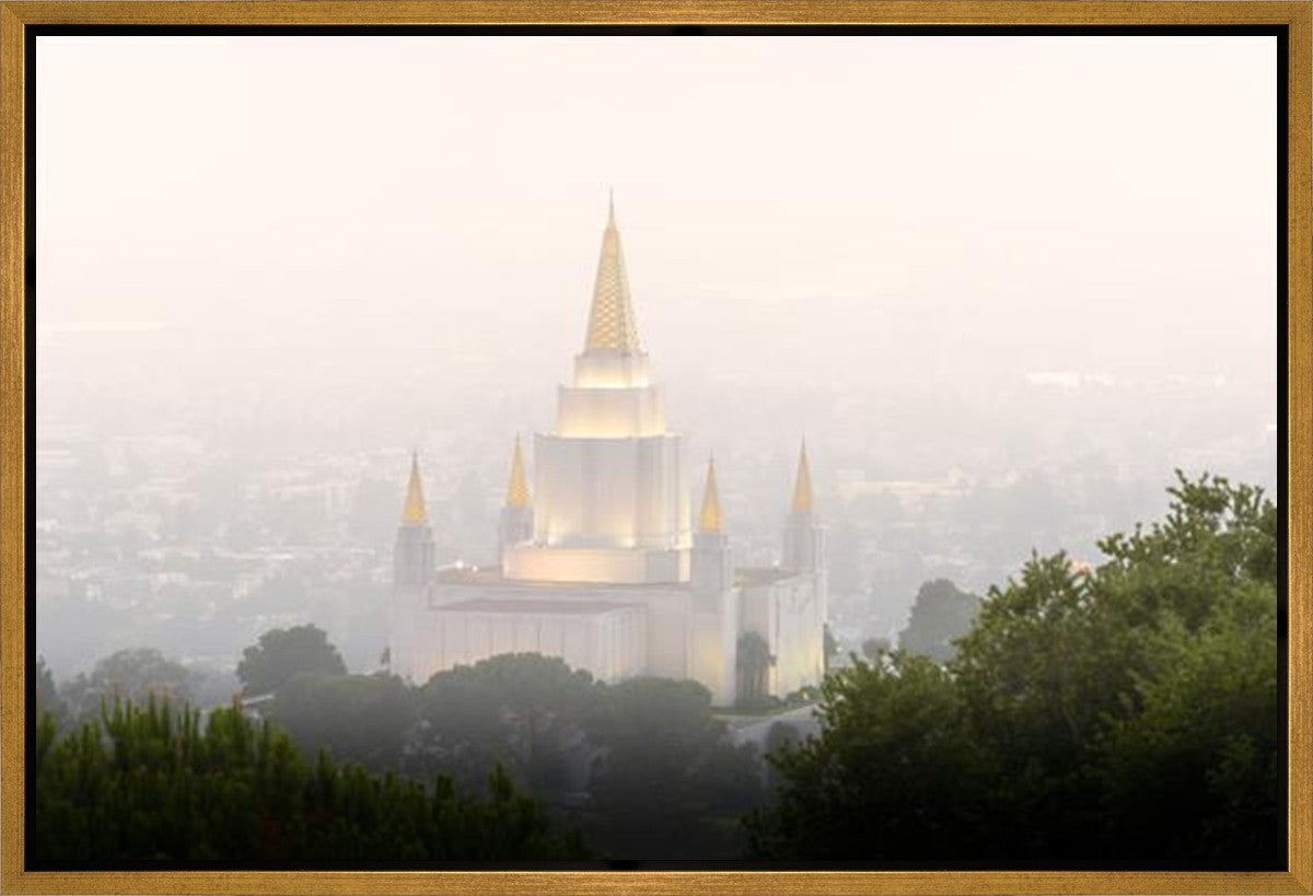 Foggy Oakland