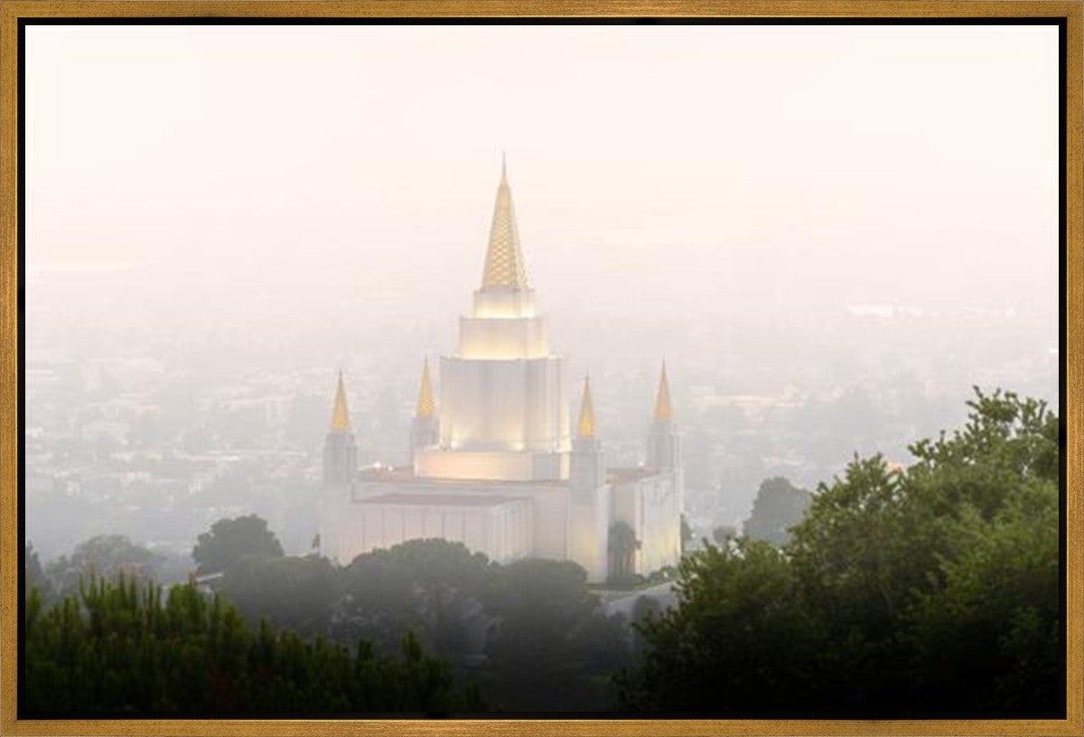 Foggy Oakland
