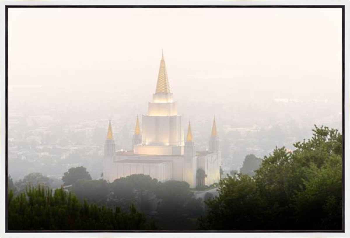 Foggy Oakland